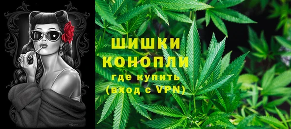 PSILOCYBIN Вяземский