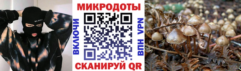 Галлюциногенные грибы GOLDEN TEACHER наркота Исилькуль